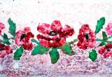 MG_0750-copia
