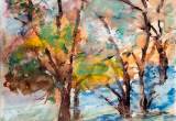 MG_0761-copia